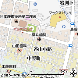 秋田県由利本荘市美倉町16周辺の地図