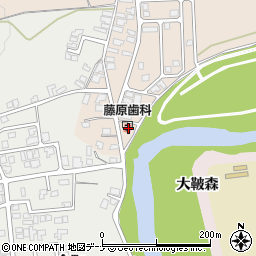 秋田県由利本荘市大浦八走124周辺の地図