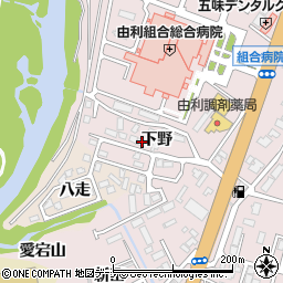 秋田県由利本荘市川口下野204周辺の地図