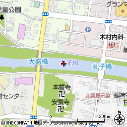 丸子川周辺の地図