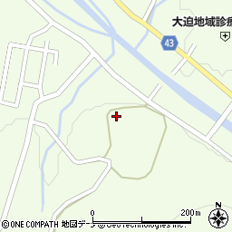 岩手県花巻市大迫町大迫第１７地割周辺の地図