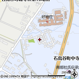 岩手県花巻市石鳥谷町中寺林第７地割38-30周辺の地図