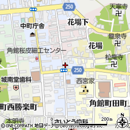 仙北市役所　角館総合病院・医療局周辺の地図