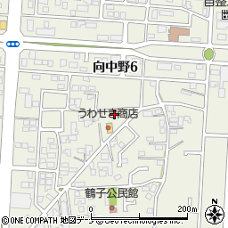 岩手県盛岡市向中野鶴子7-9周辺の地図