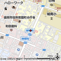 岩手県盛岡市若園町7-31周辺の地図