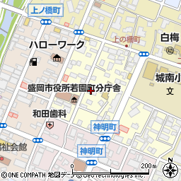 岩手県盛岡市若園町5-6周辺の地図