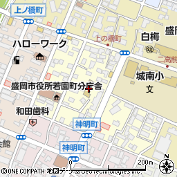 岩手県盛岡市若園町5-1周辺の地図