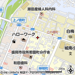 岩手県盛岡市若園町3-20周辺の地図