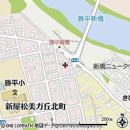 芳野ハイツ周辺の地図