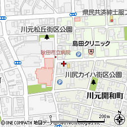 秋田トロフィショップ周辺の地図