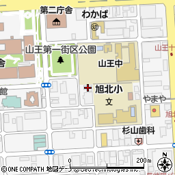 株式会社自然科学調査事務所周辺の地図