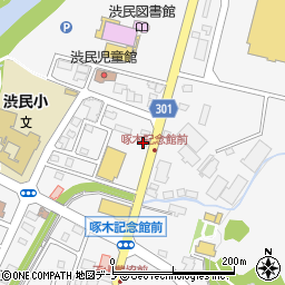 岩手県盛岡市渋民泉田167周辺の地図