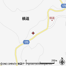 岩手県下閉伊郡岩泉町岩泉横道周辺の地図