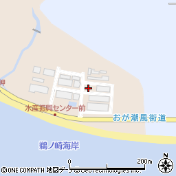 秋田県男鹿市船川港台島鵜ノ崎1周辺の地図