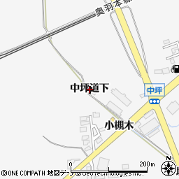 秋田県能代市二ツ井町中坪道下周辺の地図