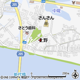 秋田県能代市向能代上野周辺の地図