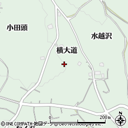 青森県八戸市是川横大道周辺の地図