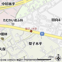 梨子ノ木平周辺の地図