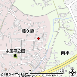 青森県八戸市中居林藤ケ森2-17周辺の地図