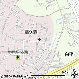 青森県八戸市中居林藤ケ森2-16周辺の地図