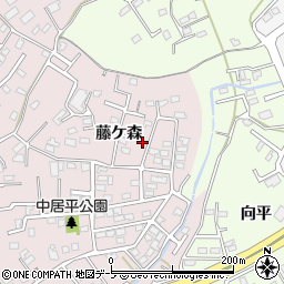 青森県八戸市中居林藤ケ森2-4周辺の地図