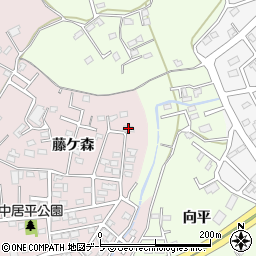青森県八戸市中居林藤ケ森4-3周辺の地図