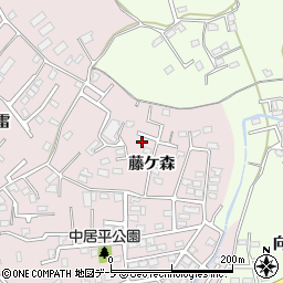 青森県八戸市中居林（藤ケ森）周辺の地図
