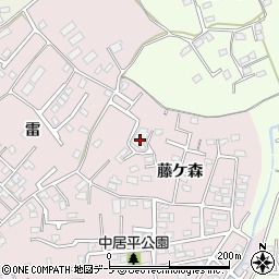 青森県八戸市中居林藤ケ森11-4周辺の地図