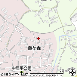 青森県八戸市中居林藤ケ森10周辺の地図