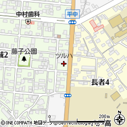 ツルハドラッグ八戸大杉平店周辺の地図