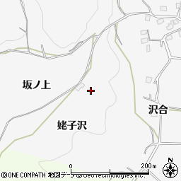 青森県八戸市尻内町姥子沢周辺の地図