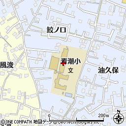 青森県八戸市湊町鮫ノ口23周辺の地図