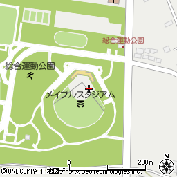 六戸町総合運動公園　野球場周辺の地図