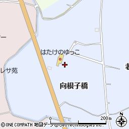 青森県藤崎町（南津軽郡）藤崎（向根子橋）周辺の地図