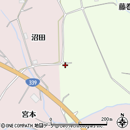 青森県南津軽郡藤崎町五林藤巻西89周辺の地図