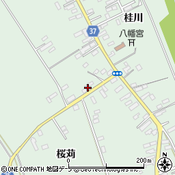 青森県弘前市青女子桜苅177-8周辺の地図