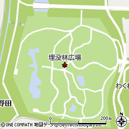埋没林広場周辺の地図