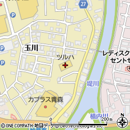ツルハドラッグ青森浜田店周辺の地図