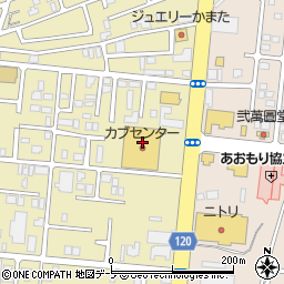 カブセンター　大野店周辺の地図