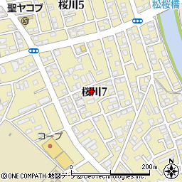 シティハイム桜川周辺の地図
