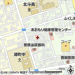 平井内科医院周辺の地図