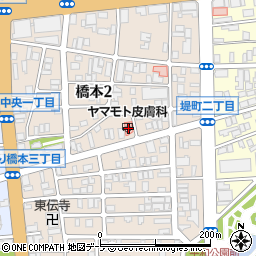 青栄会ヤマモト皮膚科周辺の地図
