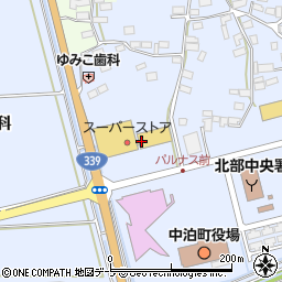 株式会社スーパーストア中里店周辺の地図