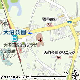 北海道亀田郡七飯町大沼町212周辺の地図