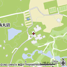北海道亀田郡七飯町西大沼182周辺の地図