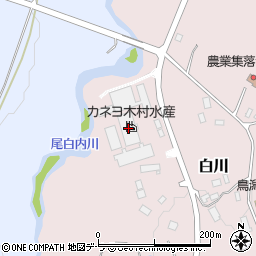 カネヨ木村水産周辺の地図
