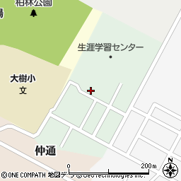 北海道広尾郡大樹町双葉町3周辺の地図