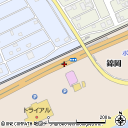 東錦岡周辺の地図