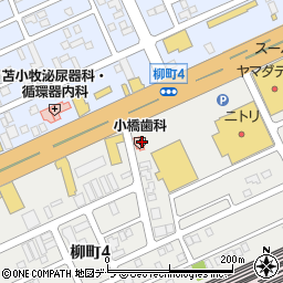 小橋歯科医院周辺の地図