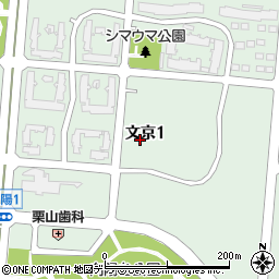 北海道千歳市文京1丁目周辺の地図